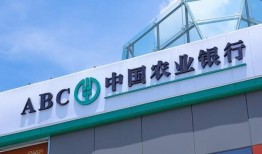 湖北网友爆料视频最新消息,最新视频揭露惊人真相！